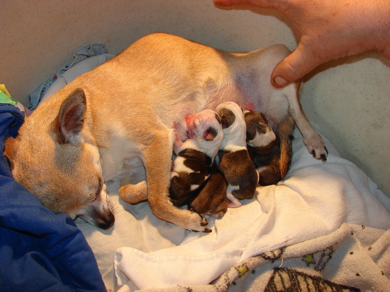 LES BEBES DE BETTY NES LE 17 MAI 2012